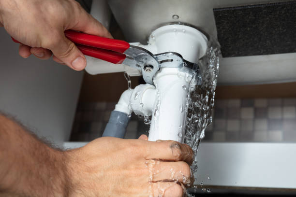 Best Mold removal after water damage  in Tangelo Park, FL