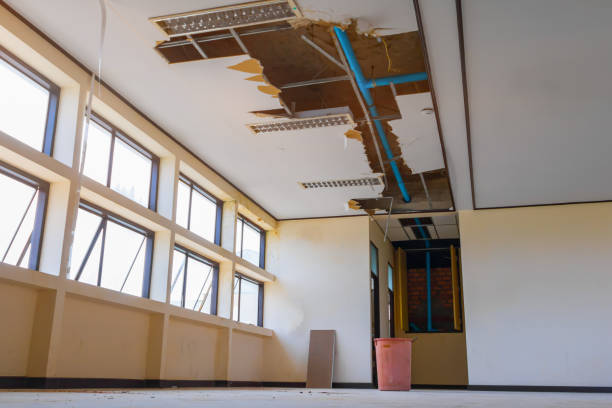 Best Emergency water damage restoration  in Tangelo Park, FL