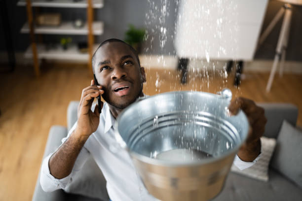 Best Water damage restoration near me  in Tangelo Park, FL
