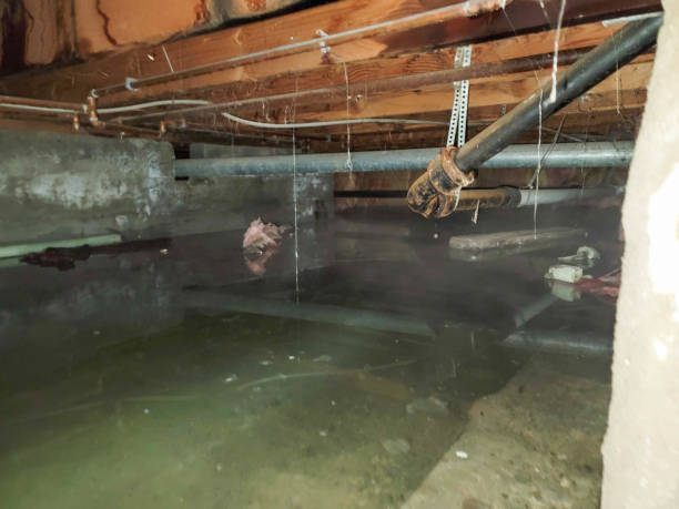 Best Residential water damage restoration  in Tangelo Park, FL
