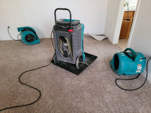 Water damage restoration experts in FL