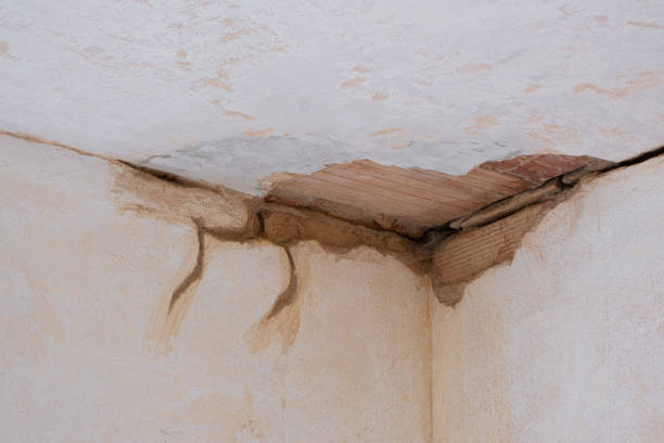 Best 24-hour water damage restoration  in Tangelo Park, FL