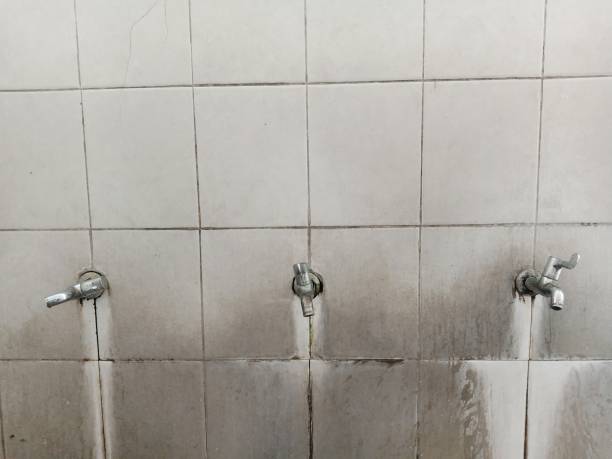 Best Basement water damage restoration  in Tangelo Park, FL