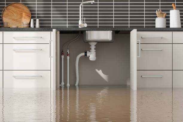 Best Water damage restoration experts  in Tangelo Park, FL