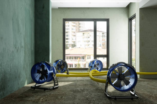 Best 24-hour water damage restoration  in Tangelo Park, FL