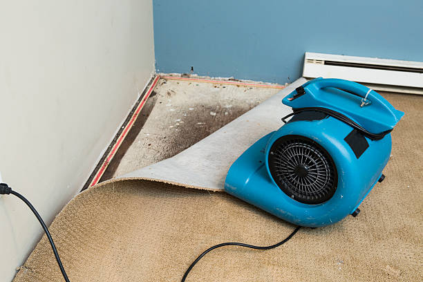 Best Flood restoration services  in Tangelo Park, FL