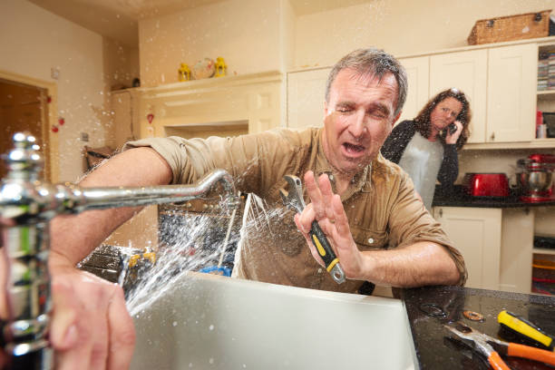 Best Flooded house restoration  in Tangelo Park, FL